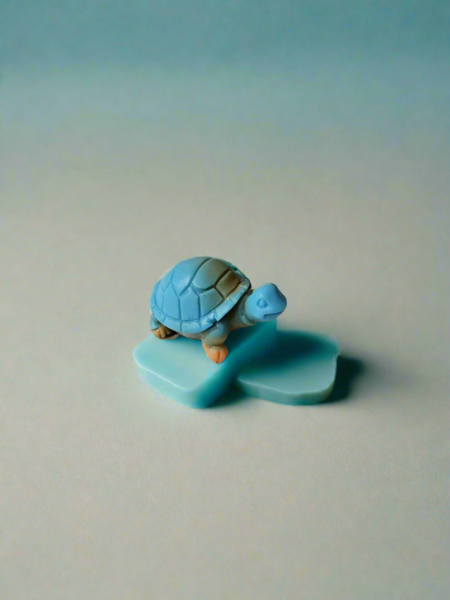 Small blue turtle soap on a blue background